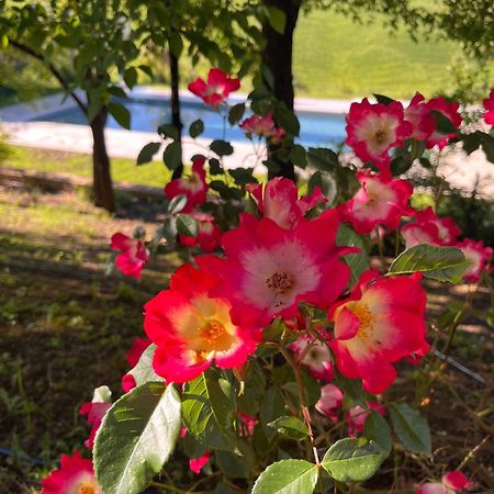 Agriturismo San Fabio カステルヌオーヴォ・ベラルデンガ エクステリア 写真