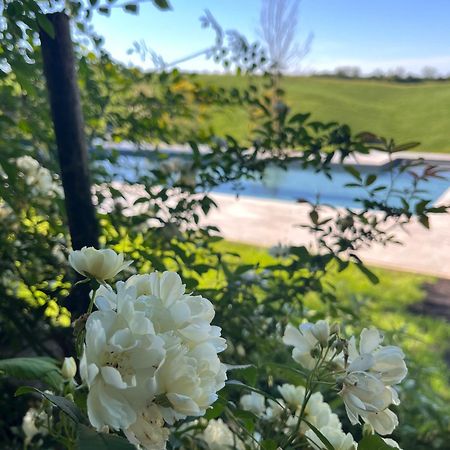 Agriturismo San Fabio カステルヌオーヴォ・ベラルデンガ エクステリア 写真