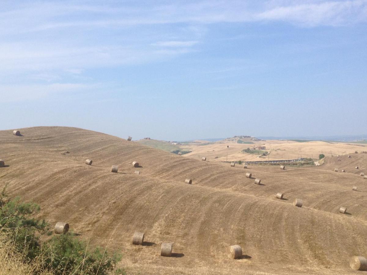 Agriturismo San Fabio カステルヌオーヴォ・ベラルデンガ エクステリア 写真